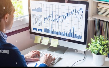 Why Forex White Label Was the Right Choice for My Startup