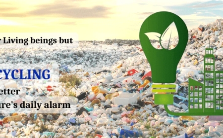 How EPR for Plastic Waste Is Transforming Corporate Responsibility - DCC Group