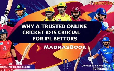 Trusted Online Cricket ID: How to Get Started Safely in India
