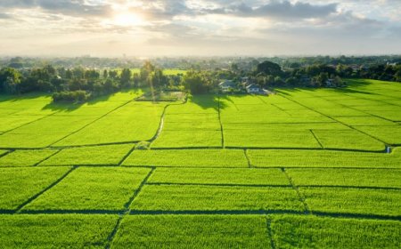 Exploring the Best Plots for Sale in Bangalore This Year