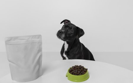 The Cleanup Revolution: Gogostik's Smart Pooper Scooper & Dog Waste System