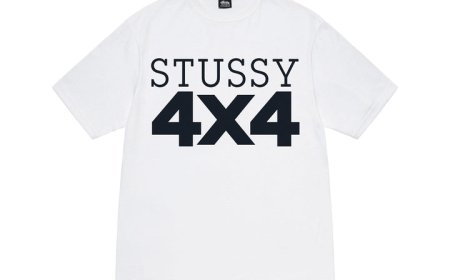 A Guide to Stussy Seasonal Collections