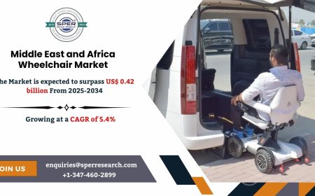 Middle East and Africa Wheelchair Market Outlook & Growth 2034