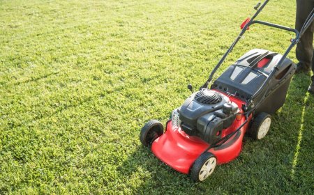 Smart Outdoor Solutions for a Greener South Auckland