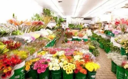 Affordable Yet Stunning Flowers Toronto Florists Sell