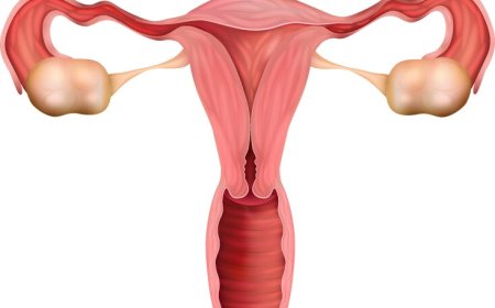 IVF Treatment in Bangalore: A Look into Sattva Fertility Center’s Expertise