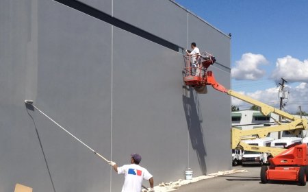 5 Reasons to Choose Painting Services for Your Commercial Property
