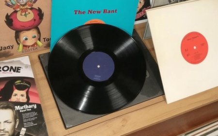 From Flea Markets to Auctions: Finding Hidden Hindi Vinyl Treasures