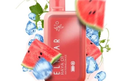 Experience the Best Disposable Vape with Elf Bar – Now Available at Vape Stars