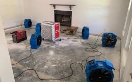 The Complete Guide to Water Damage and Repair