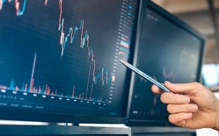 How Can Forex Trading Companies Help Both Novice and Expert Traders?