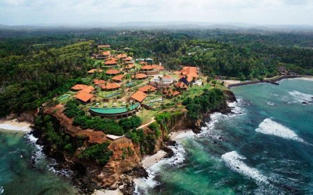 Best Time for a Beachside Honeymoon in Sri Lanka