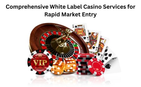 Comprehensive White Label Casino Services for Rapid Market Entry