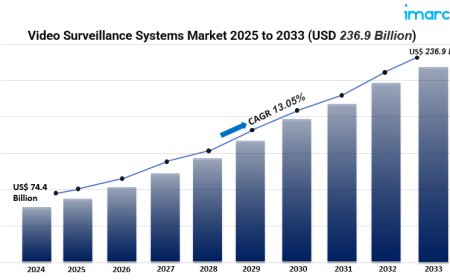 Video Surveillance Systems Market Overview: Growth Drivers, Segments & Regional Insights