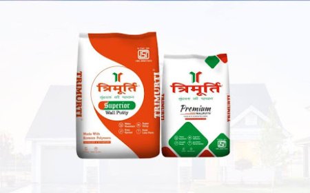 Transform Your Walls: Amazing Benefits of Premium Wall Putty