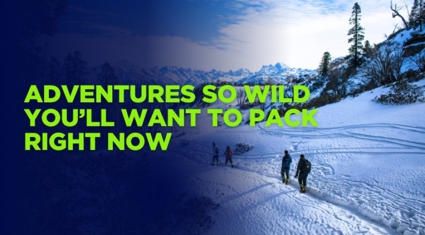 Bucket List Alert: 12 Extreme Travel Spots for the Ultimate Adrenaline Rush