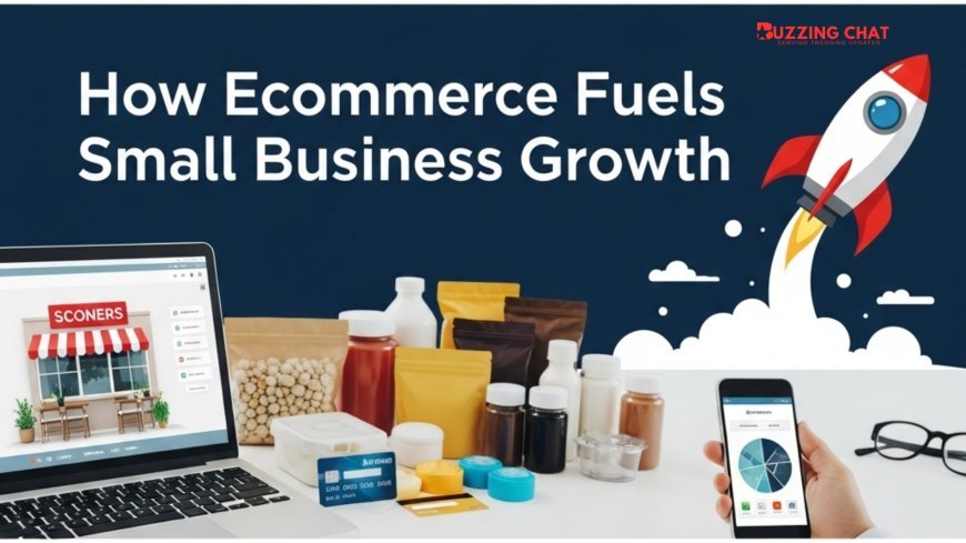 Real-Life Case Study: Tactics That Took a Startup from Zero to Hero