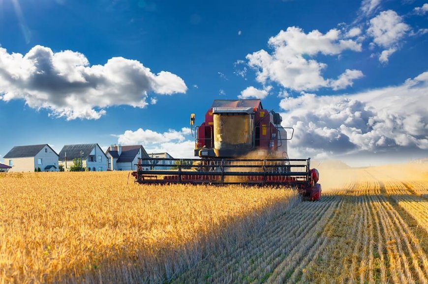 Agricultural Oil Suppliers: Powering the Engines Behind Modern Farming