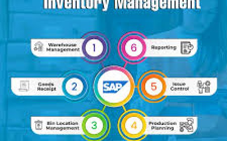 What is SAP Solution Manager?