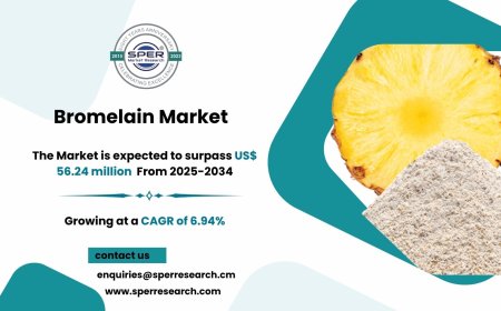 Bromelain Market Demand, Share Analysis and Growth Outlook 2034