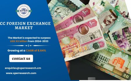 GCC Foreign Exchange Market Size, Trends, Share and Future Outlook 2033