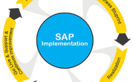 How Can You Find Help in India for SAP Implementation?