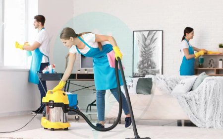 From Dingy to Dazzling: Transform Your Rugs with Expert Deep Cleaning