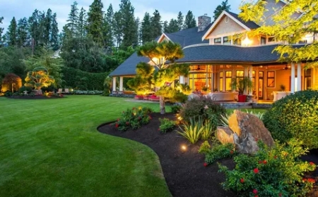 Benefits of Choosing Landscaping Services for Getting Fresh Looks