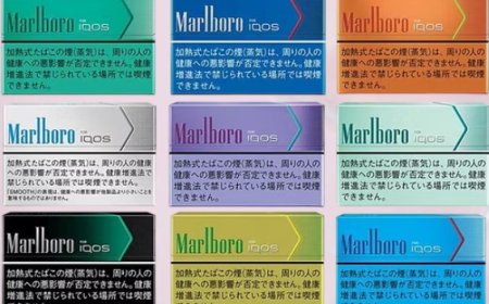 煙蛋使用趨勢上升：為什麼越來越多人選擇 IQOS？