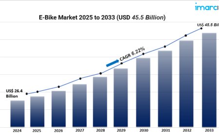 Why the Global E Bike Industry Is Growing at a 6.22% CAGR: Market Outlook & Insights