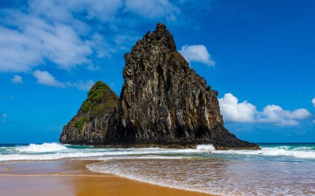 Explore the Turkish Airlines New York City Office: Your Local Link to Global Travel