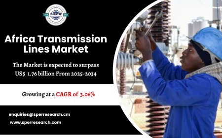 Africa Transmission Lines Market Size, Share and Growth 2034