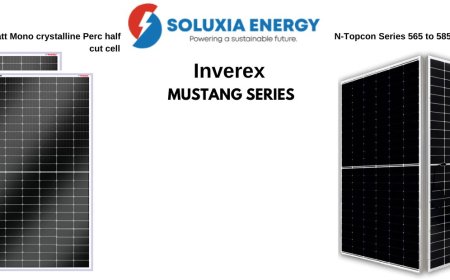 Explore the Latest Inverex Solar Panel Price in Pakistan 2025 – A Smart Investment for a Brighter Future