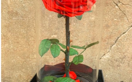 Choosing the Right Flowers for Every Milestone in Life