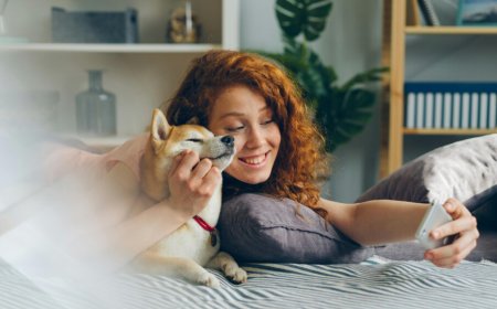 Make the Most of Your Time with Colour Prediction Games