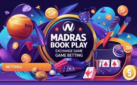 Top Features of PlayingExchange and How to Make the Most of It