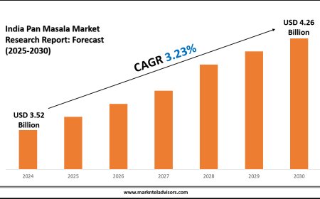Outlook on India’s Pan Masala Market Expansion (2025–2030)