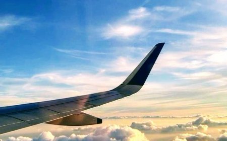 Azerbaijan Airlines Mumbai Office in India