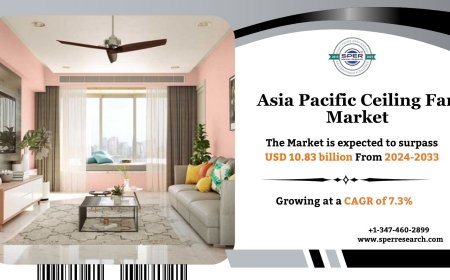 Asia Pacific Ceiling Fan Market Scope and Future Outlook to 2033