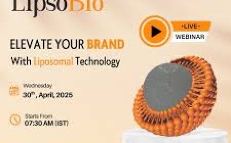 Liposomal Curcumin Manufacturers: Shaping the Future of Nutraceuticals with Lipsobio