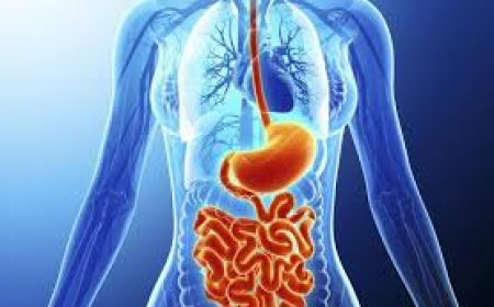 Top Gastroenterology Hospital in Navi Mumbai – Expert GI Treatment