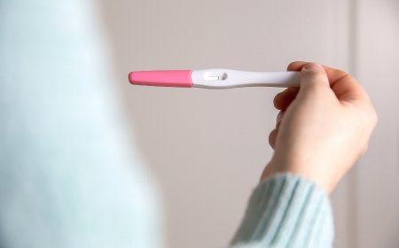 Which Top-Rated Home Pregnancy Tests Provide the Most Reliable Results?