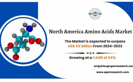 North America Amino Acids Market Size, Share and Trends Analysis