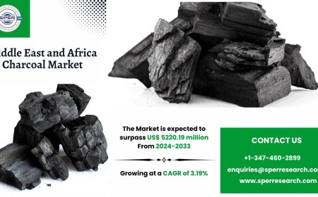Middle East and Africa Charcoal Market Scope and Future Outlook to 2033