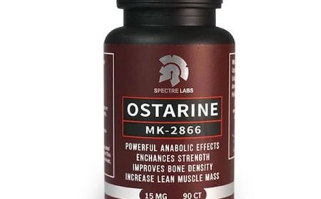 Understanding Testosterone Esters and How They Affect Your Online Purchase