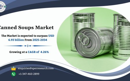 Rising Demand in Canned Soups Market: Key Insights