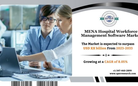 Comprehensive MENA Hospital Workforce Management Software Market Segmentation Study