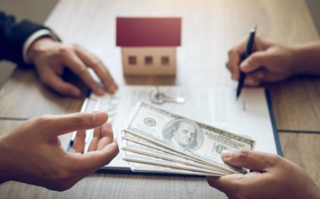 Your Guide to Finding Affordable and Stylish Houses for Sale Tampa