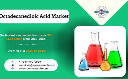 Octadecanedioic Acid Market Scope and Future Outlook to 2034