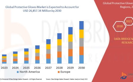 Protective Gloves Market in Middle East and Africa Expands with Industrial Safety Awareness
